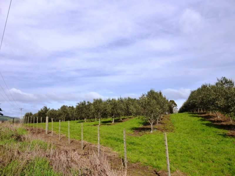 1345 Railton Road, Merseylea TAS 7305