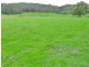 7541 Bass Highway, Sassafras TAS 7307