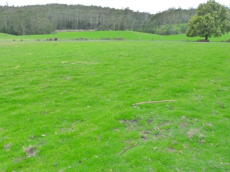 7541 Bass Highway, Sassafras TAS 7307