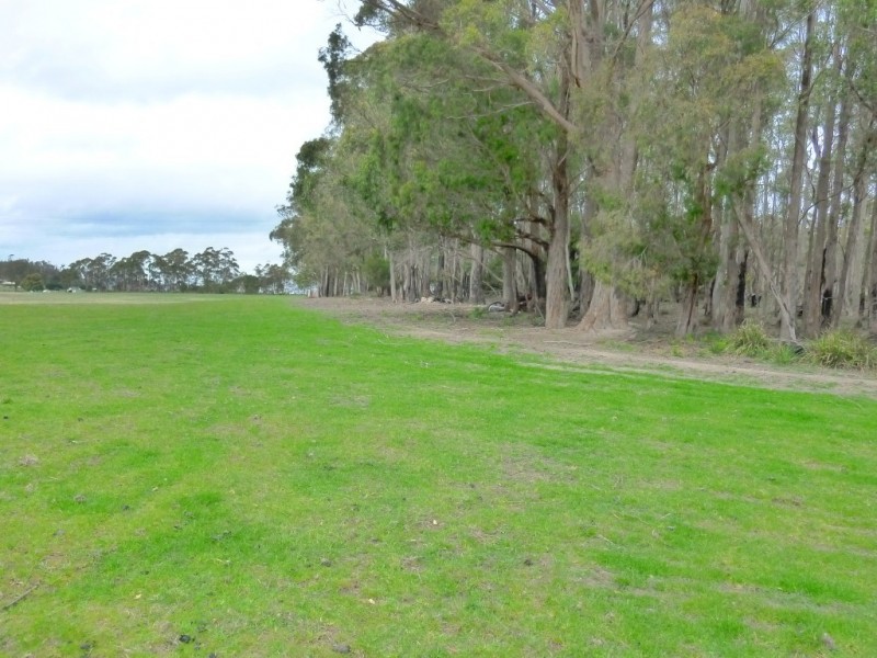 7541 Bass Highway, Sassafras TAS 7307