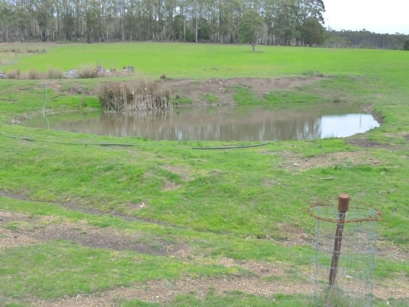 7541 Bass Highway, Sassafras TAS 7307
