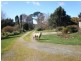 134 Old Paradise Road, Sheffield TAS 7306