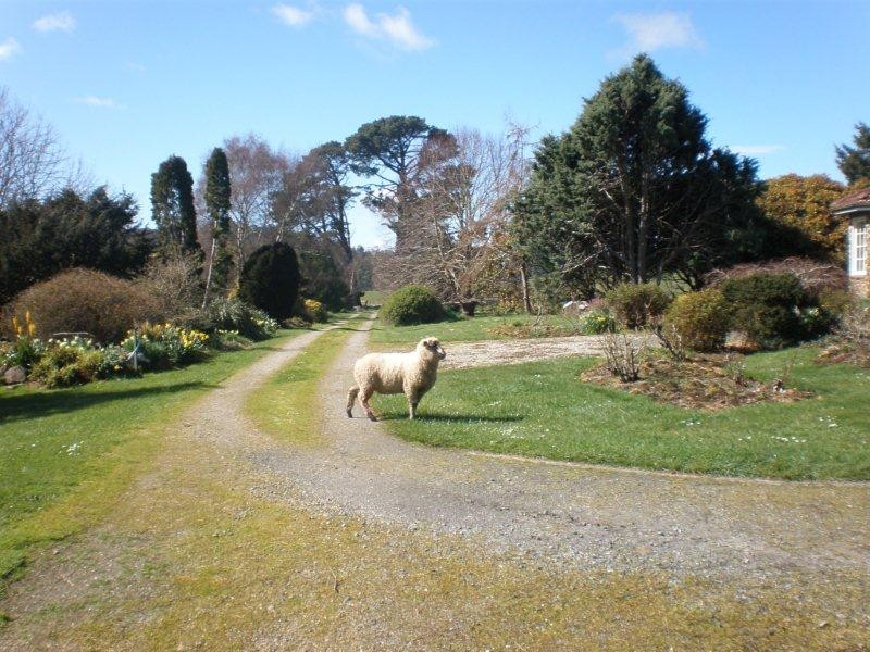 134 Old Paradise Road, Sheffield TAS 7306