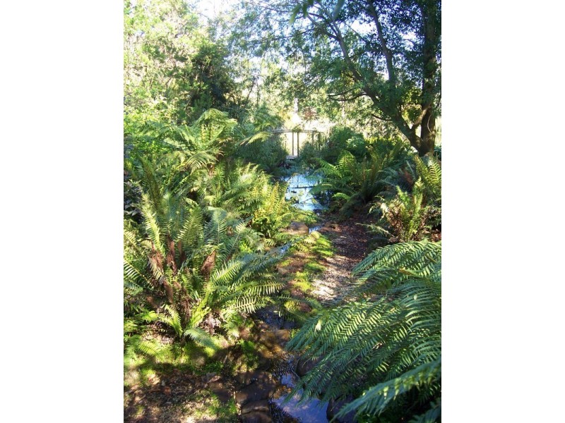 58 Barrington Road, Sheffield TAS 7306