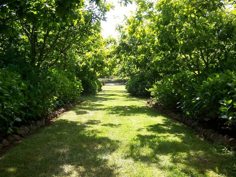 58 Barrington Road, Sheffield TAS 7306