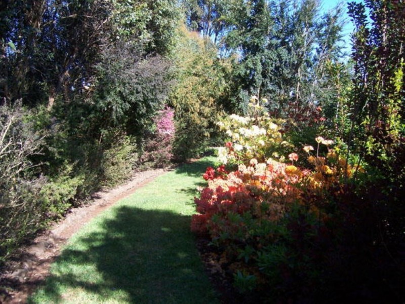 58 Barrington Road, Sheffield TAS 7306