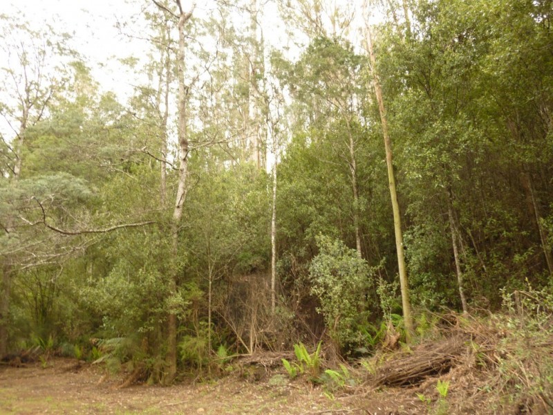 . Sheffield Road, Railton TAS 7305
