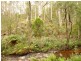 . Sheffield Road, Railton TAS 7305