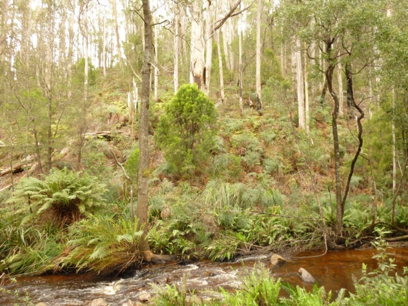 . Sheffield Road, Railton TAS 7305