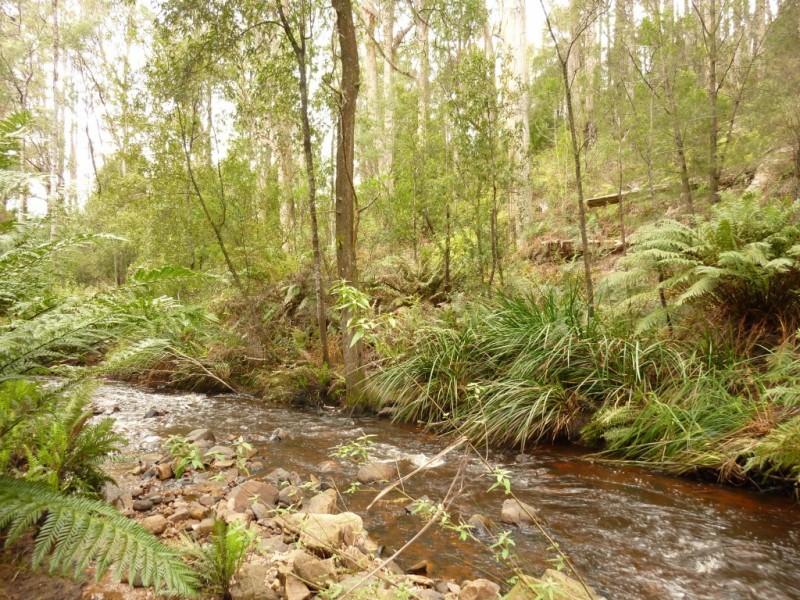 . Sheffield Road, Railton TAS 7305