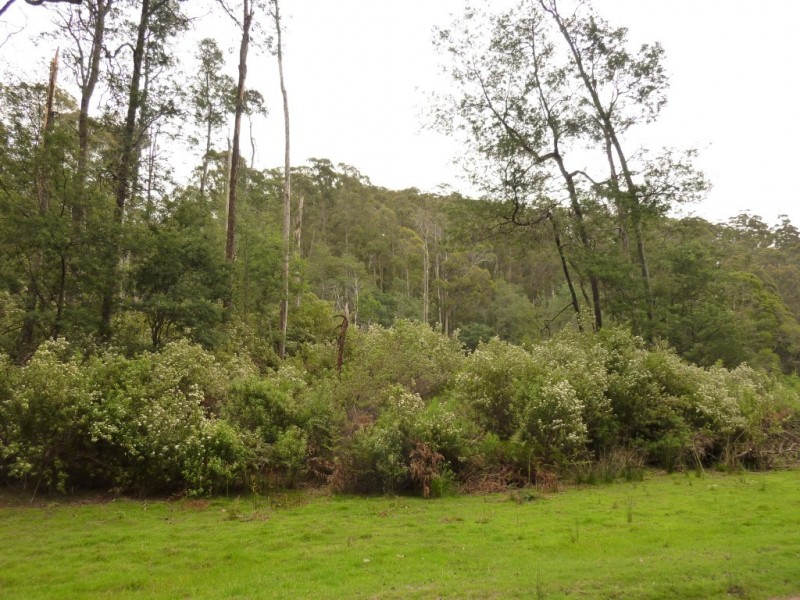 . Sheffield Road, Railton TAS 7305