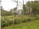 . Sheffield Road, Railton TAS 7305