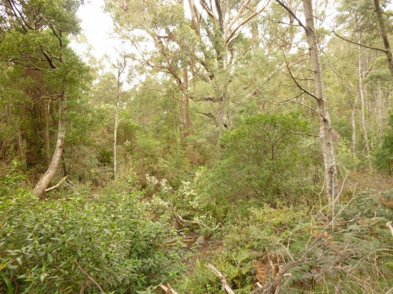 . Sheffield Road, Railton TAS 7305