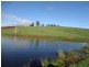 349 Lower Barrington Road, Lower Barrington TAS 7306