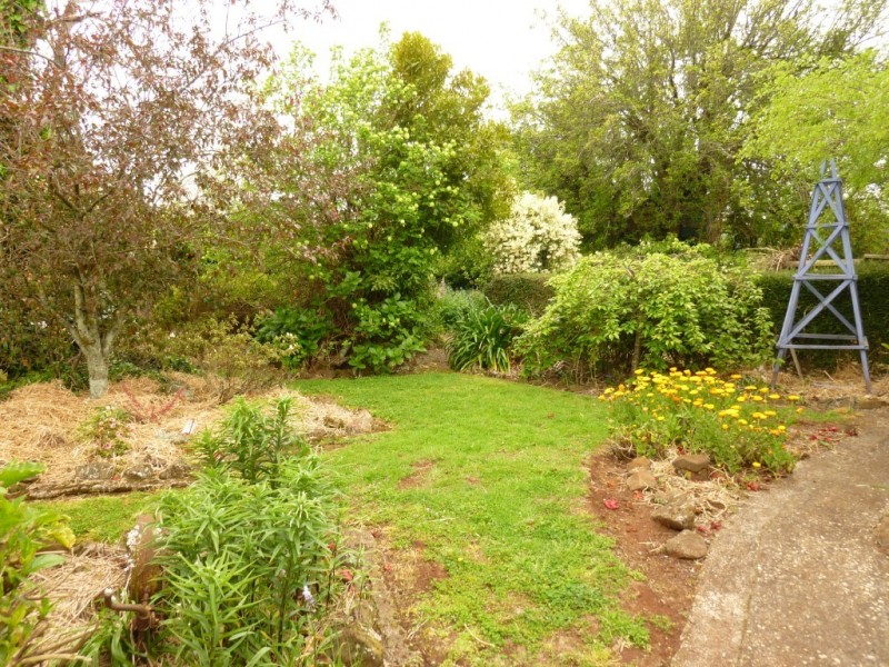 349 Lower Barrington Road, Lower Barrington TAS 7306