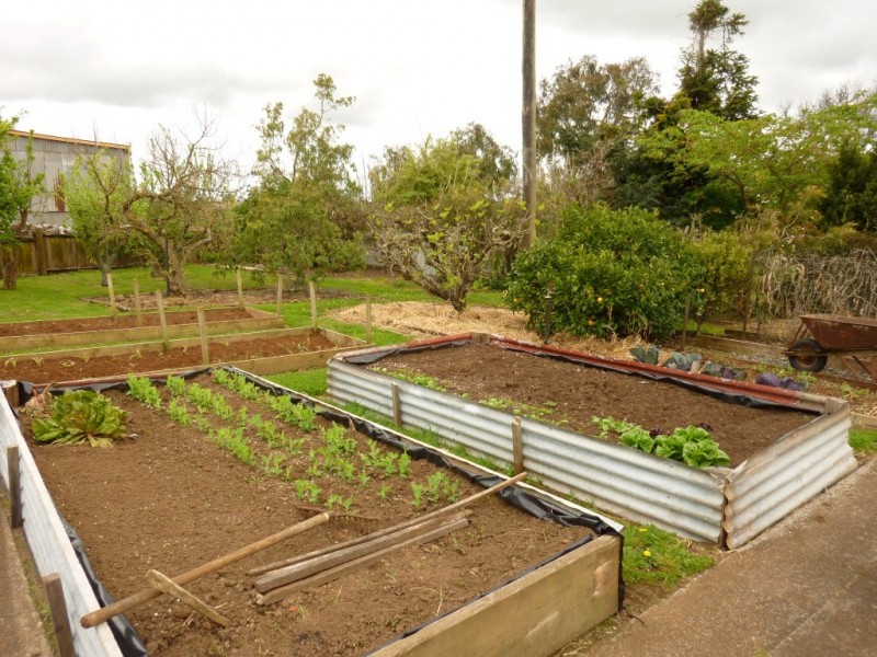 349 Lower Barrington Road, Lower Barrington TAS 7306
