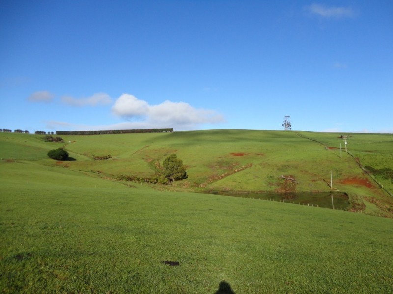 349 Lower Barrington Road, Lower Barrington TAS 7306