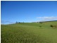 349 Lower Barrington Road, Lower Barrington TAS 7306