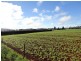 349 Lower Barrington Road, Lower Barrington TAS 7306