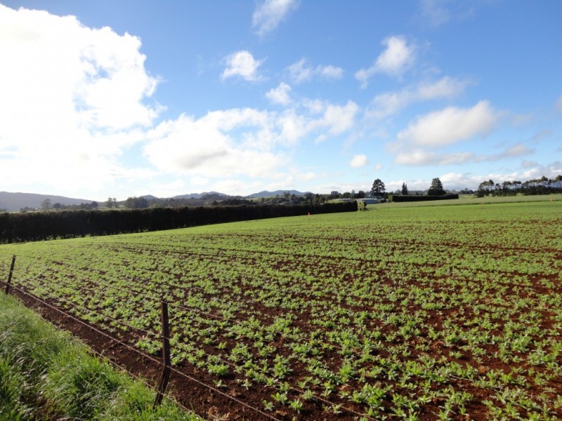 349 Lower Barrington Road, Lower Barrington TAS 7306