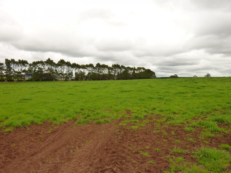 349 Lower Barrington Road, Lower Barrington TAS 7306