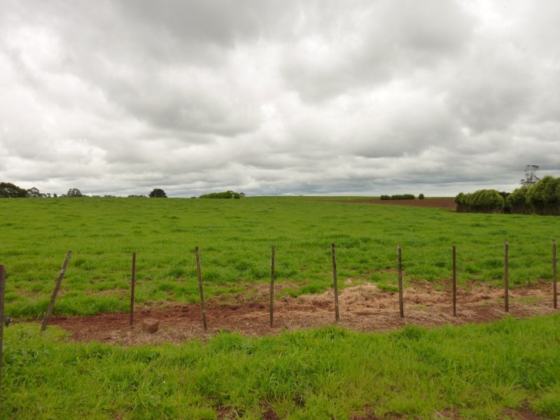349 Lower Barrington Road, Lower Barrington TAS 7306