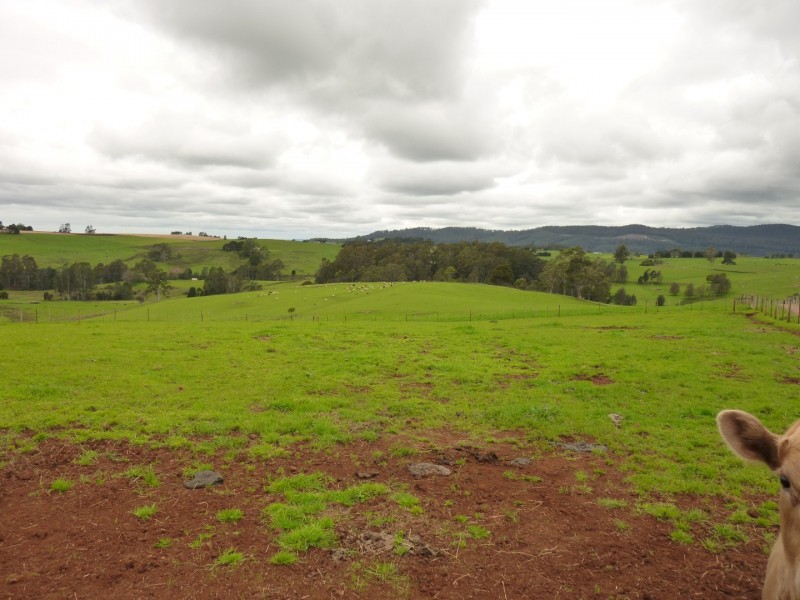 349 Lower Barrington Road, Lower Barrington TAS 7306