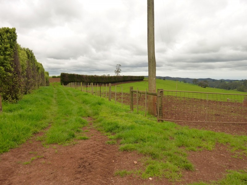 349 Lower Barrington Road, Lower Barrington TAS 7306