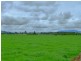 349 Lower Barrington Road, Lower Barrington TAS 7306
