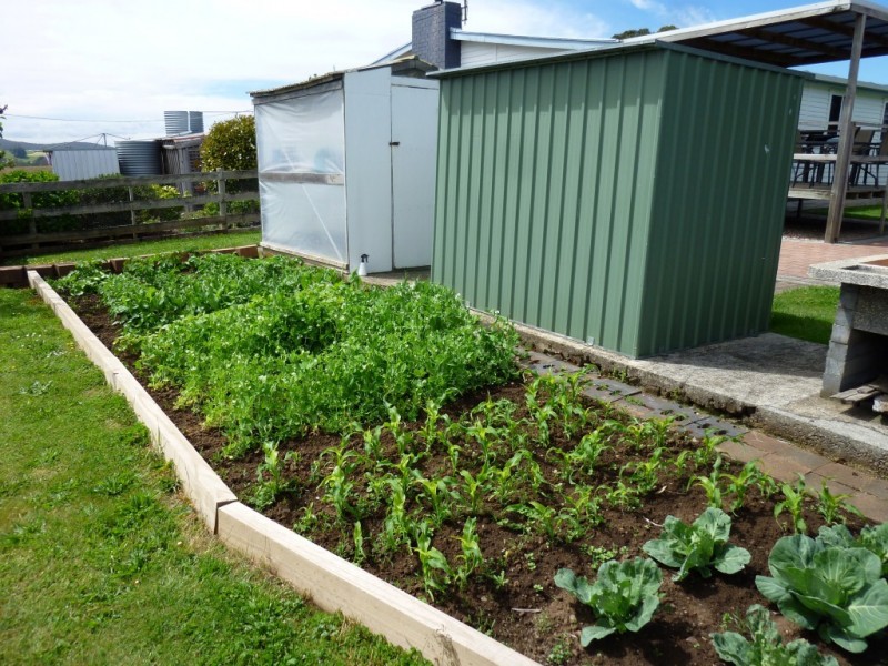 283 Barrington Road, Barrington TAS 7306