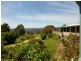 102 Brays Road, Sheffield TAS 7306