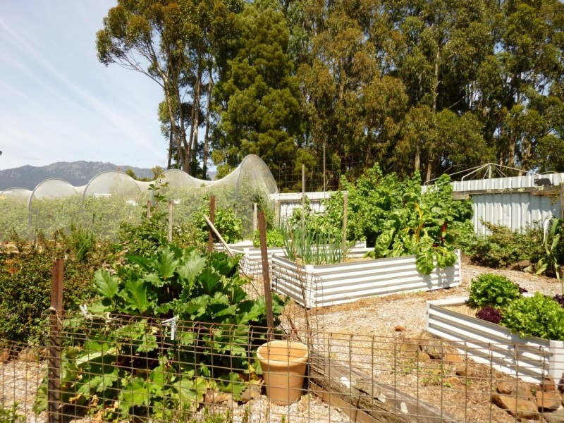 102 Brays Road, Sheffield TAS 7306