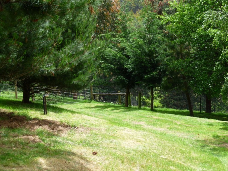 92 Cradle Mountain Road, Wilmot TAS 7310