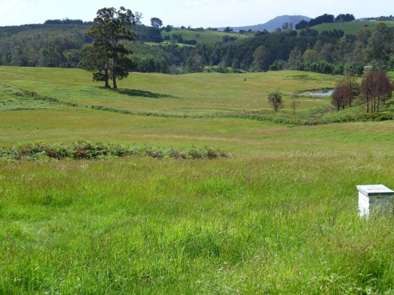 207 Holmes Road, Roland TAS 7306