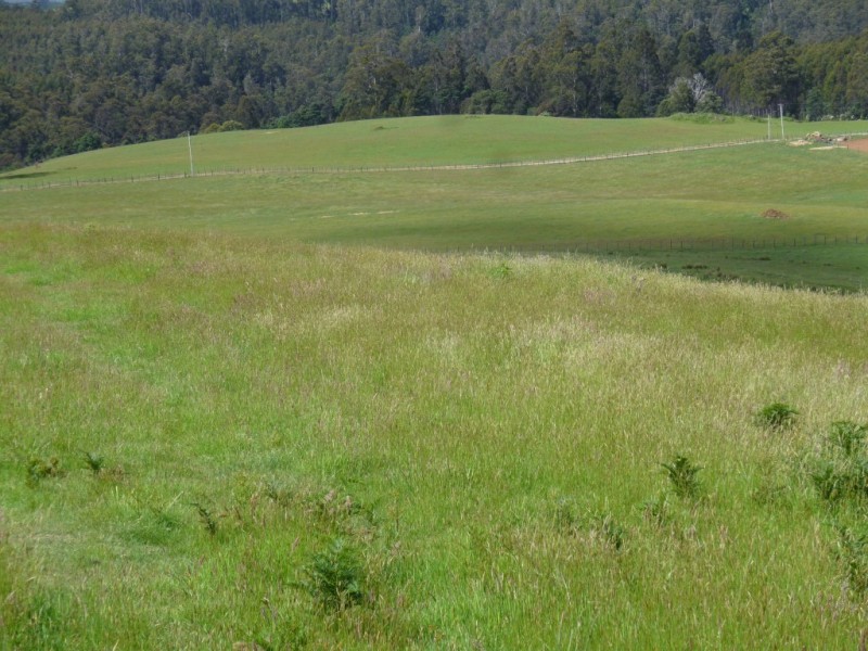 207 Holmes Road, Roland TAS 7306