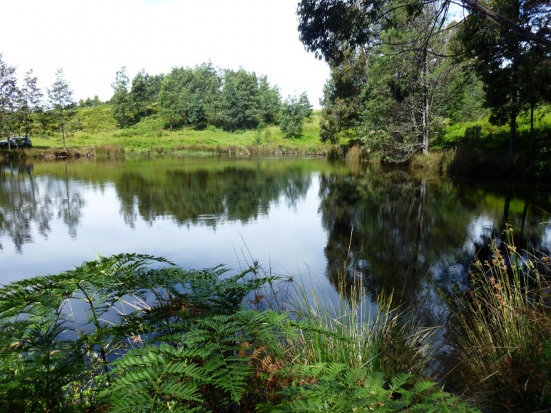 207 Holmes Road, Roland TAS 7306