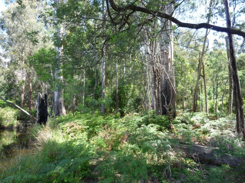 207 Holmes Road, Roland TAS 7306