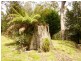 2008 Cradle Mountain Road, Moina TAS 7310