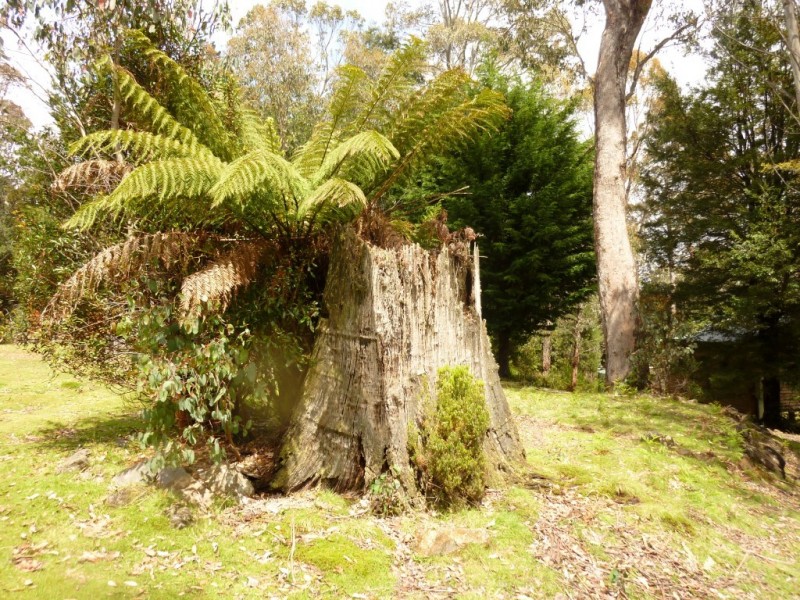 2008 Cradle Mountain Road, Moina TAS 7310