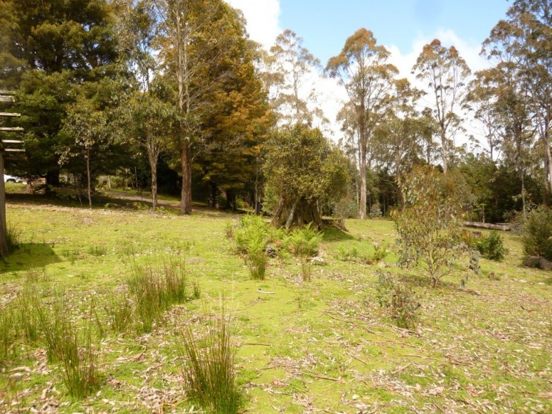 2008 Cradle Mountain Road, Moina TAS 7310