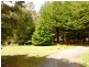 2008 Cradle Mountain Road, Moina TAS 7310
