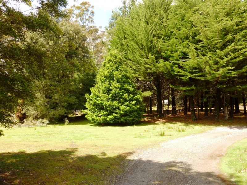 2008 Cradle Mountain Road, Moina TAS 7310