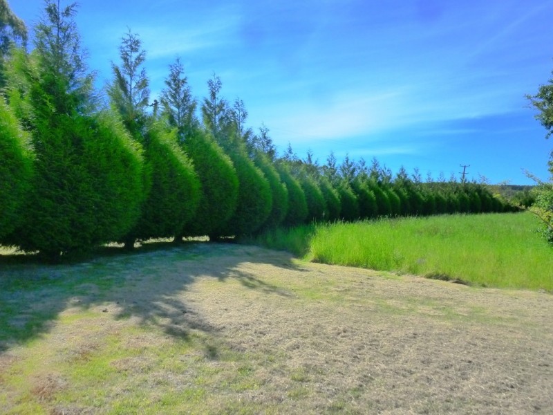 99 Masons Road, Wilmot TAS 7310