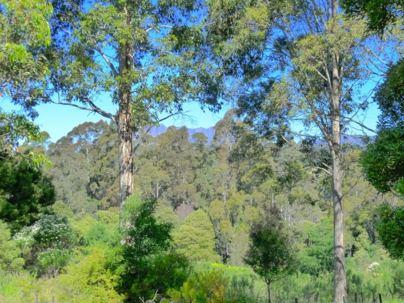 99 Masons Road, Wilmot TAS 7310