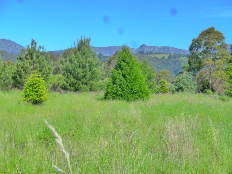 99 Masons Road, Wilmot TAS 7310