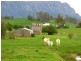 138a Main Street, Sheffield TAS 7306