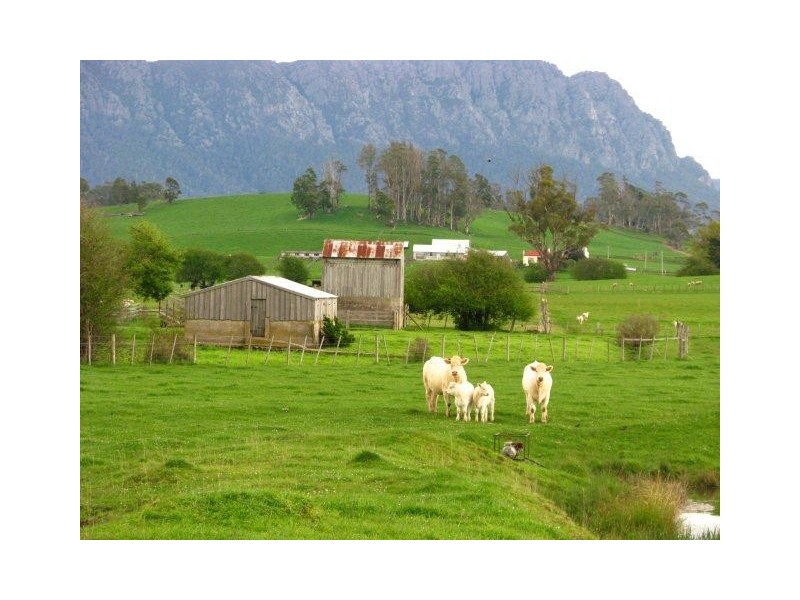 138a Main Street, Sheffield TAS 7306