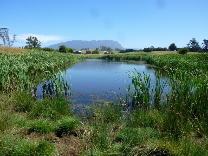 138a Main Street, Sheffield TAS 7306