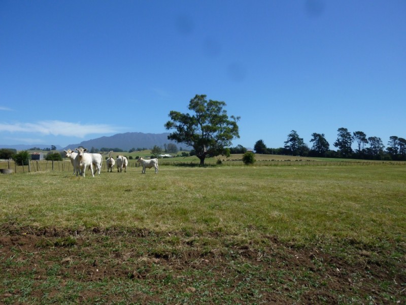 138a Main Street, Sheffield TAS 7306