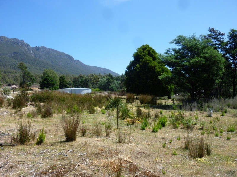 0 Wellington Street, Gowrie Park TAS 7306